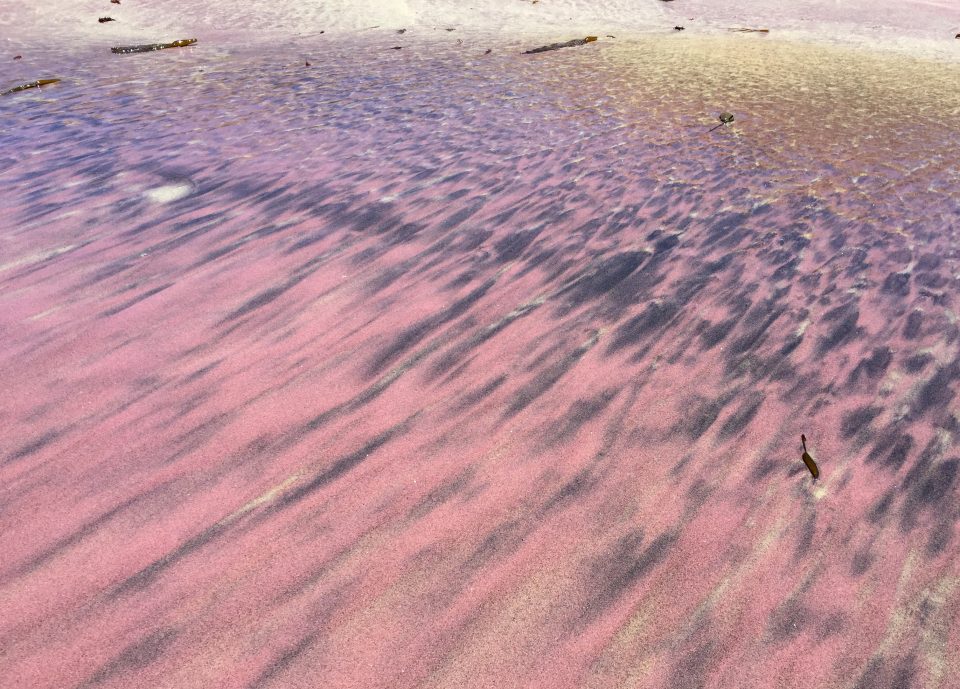 4 ชายหาดสีสันแปลกตาในอเมริกา | 4 Colorful Beach of USA