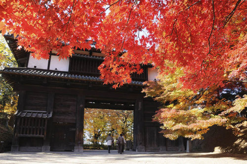 Aomori-11