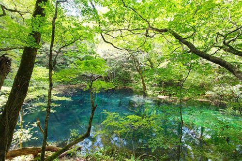 Aomori-14
