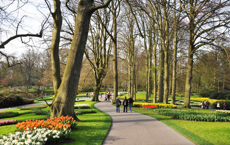 Blossom_in_NETHERLANDS2.jpg