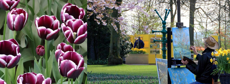 Blossom_in_NETHERLANDS3.jpg