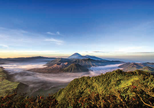 โบรโม่