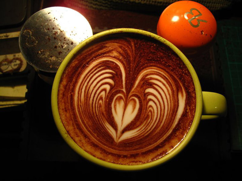 Rufous Coffee4.jpg
