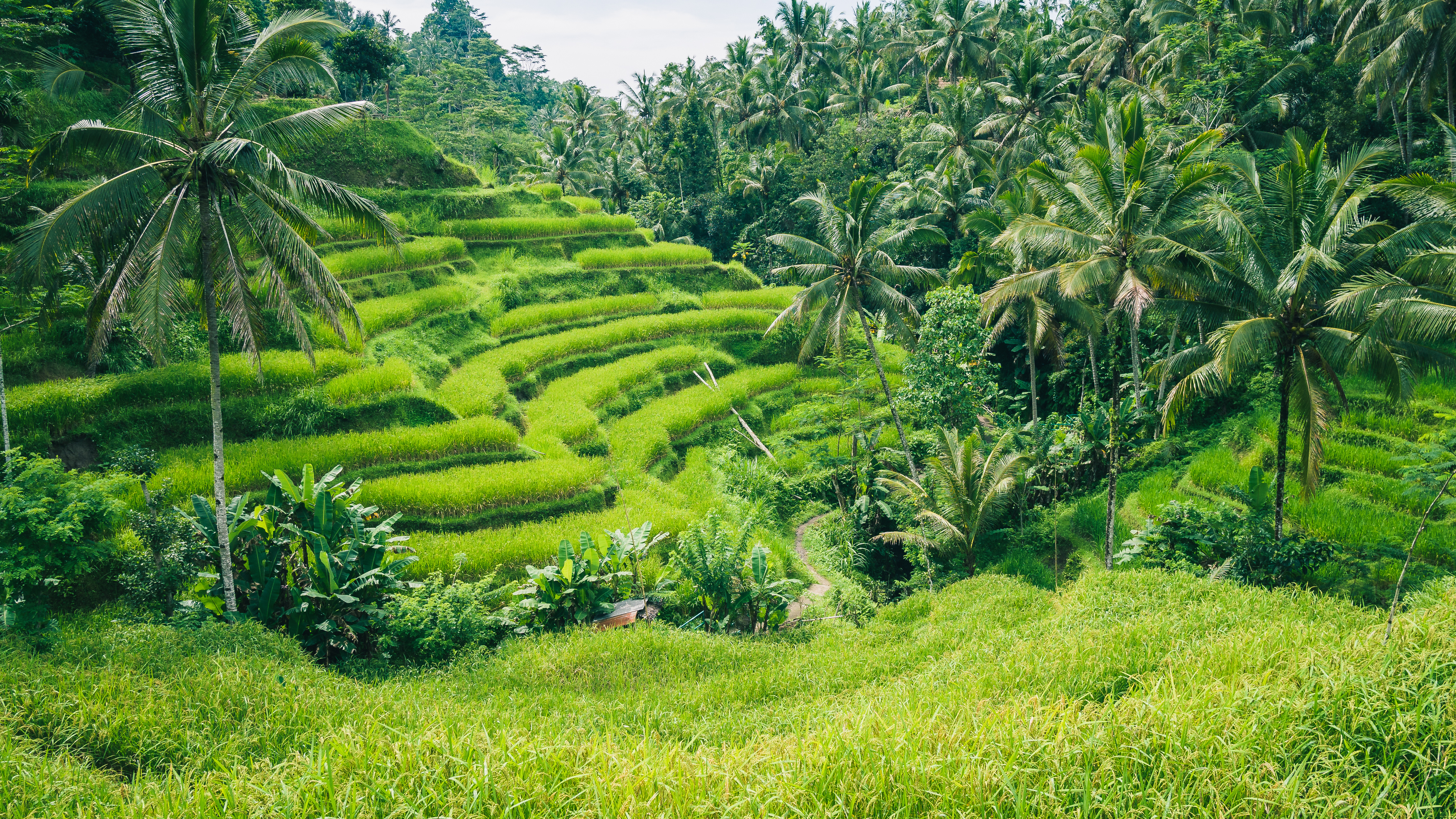 Eat Pray Love เที่ยวอินเดีย อิตาลี บาหลี 