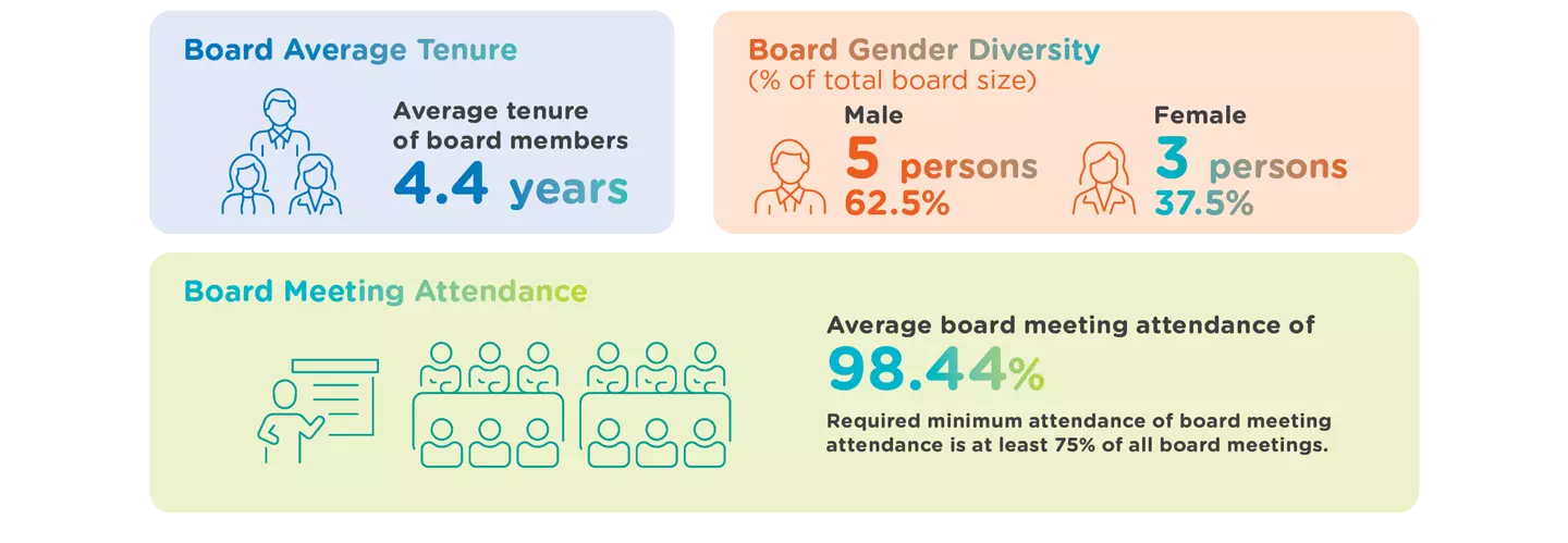 Board of Directors Composition