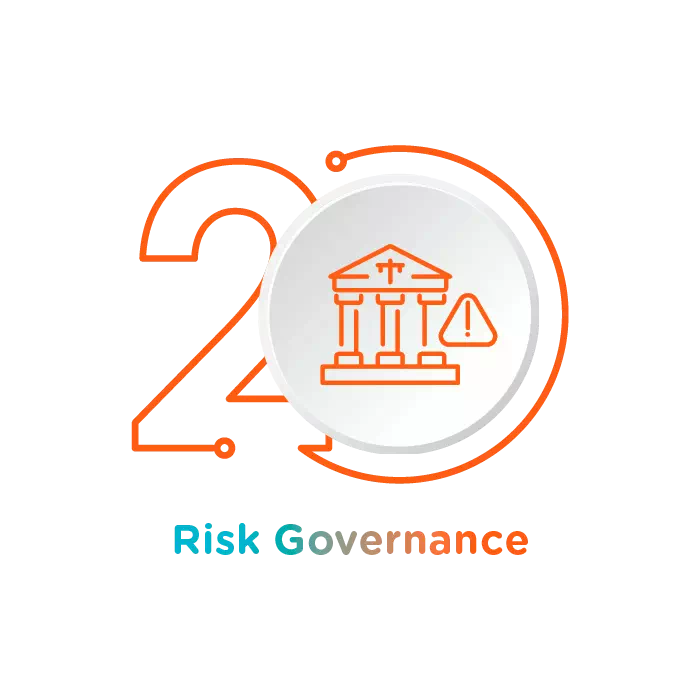 Risk Governance