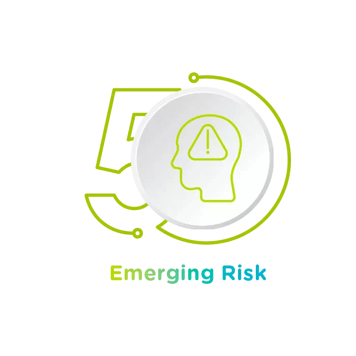 Emerging Risk