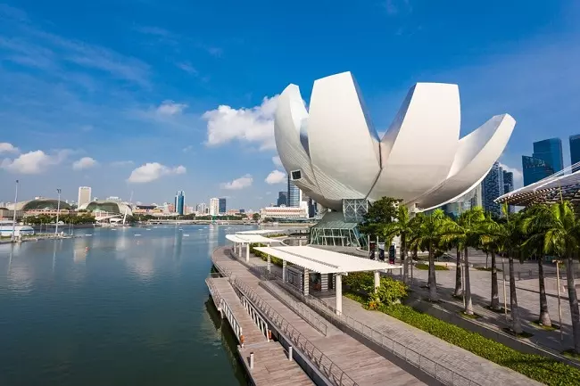 พิพิธภัณฑ์ Art Science Museum