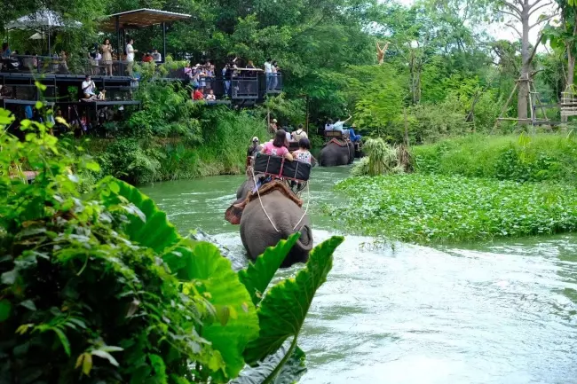 มองช้างคาเฟ่พัทยา