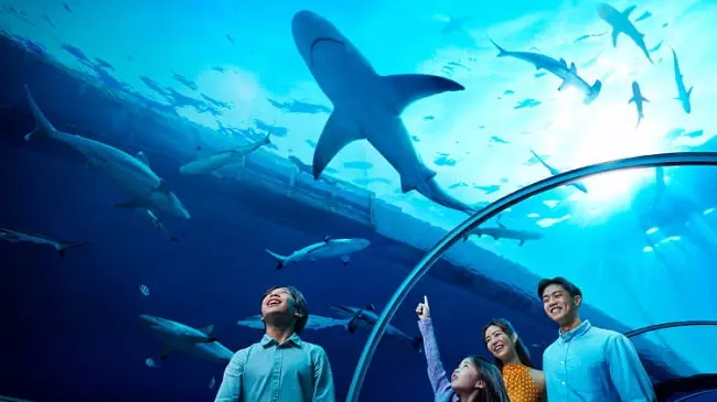 S.E.A. Aquarium