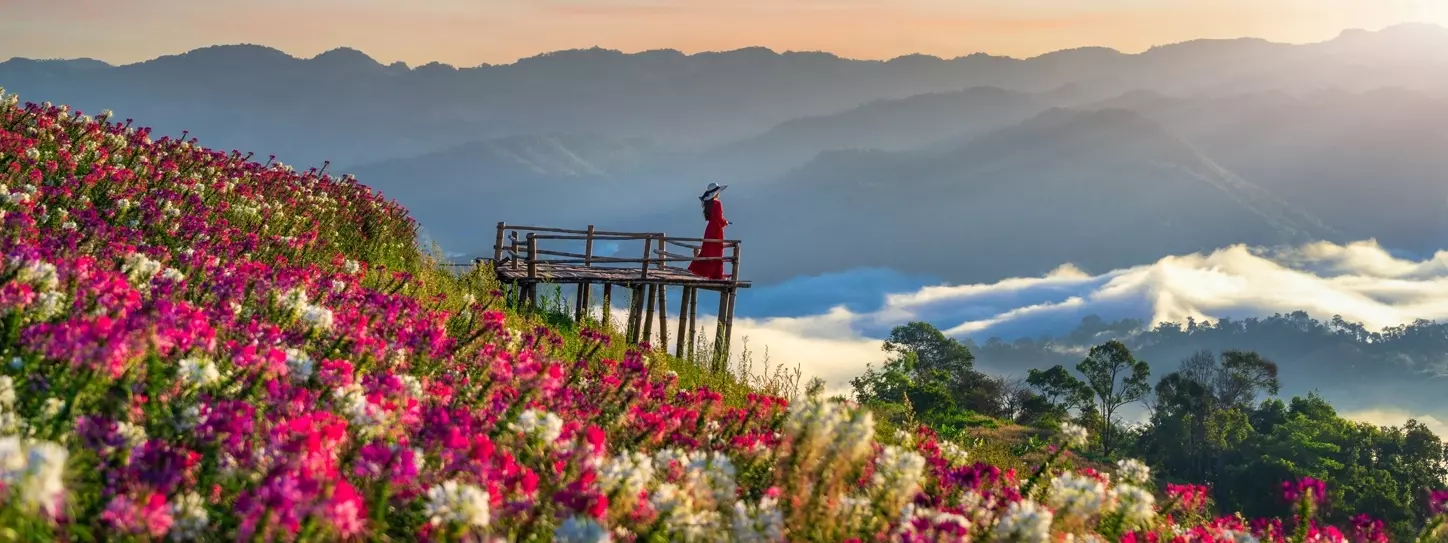 สาวสวยเพลิดเพลินกับทุ่งดอกไม้