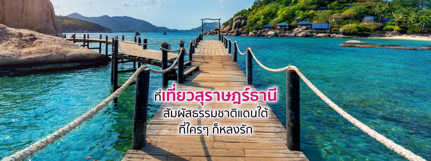 เกาะนางยวน จังหวัดสุราษฎร์ธานี