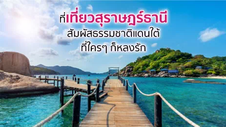 เกาะนางยวน จังหวัดสุราษฎร์ธานี