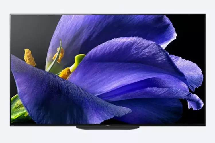 ทีวี Sony OLED Bravia 4K รุ่น 65A9G 