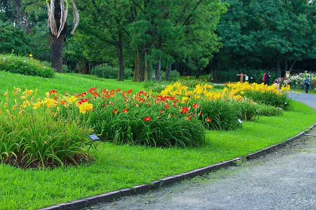Nagai Park Botanical Garden Osaka