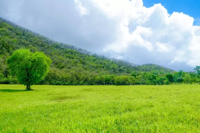 ไร่ทองสมบูรณ์คลับ