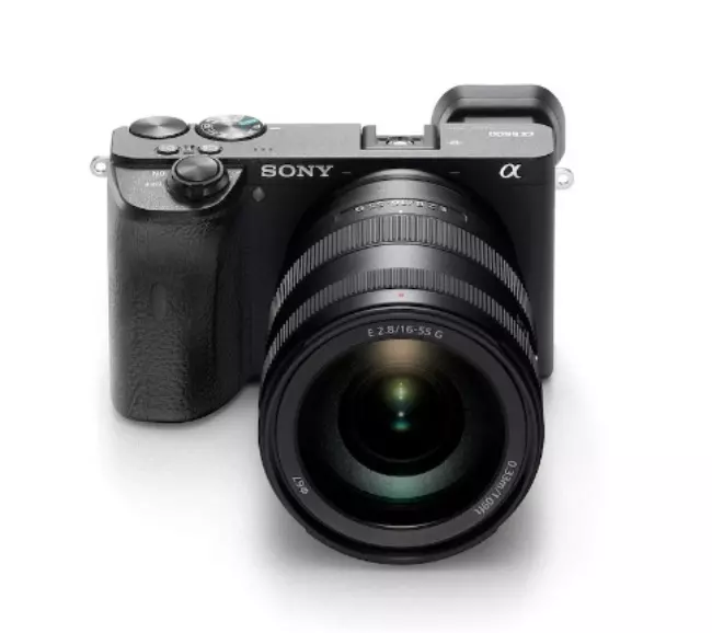 Sony A6600