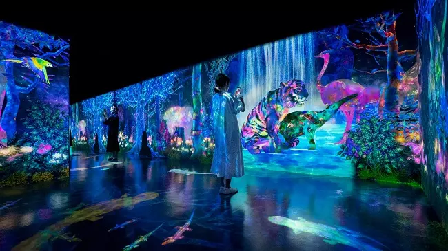 TeamLab Forest Fukuoka