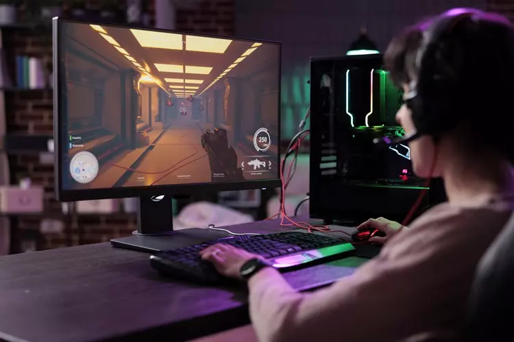 ผู้หญิงสนุกกับการเล่นเกมบนจอคอมพิวเตอร์ 