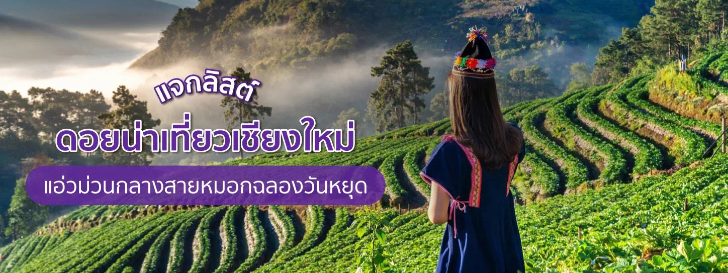 บรรยากาศดอยอ่างขางจังหวัดเชียงใหม่