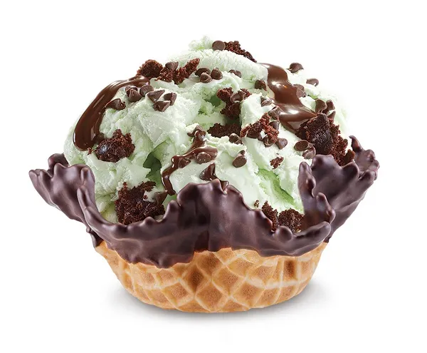 Cold Stone Mint Mint Chocolate Chocolate Chip