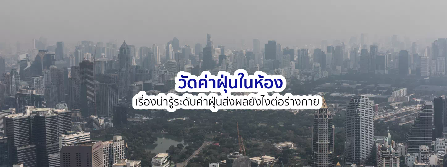 ฝุ่น PM 2.5