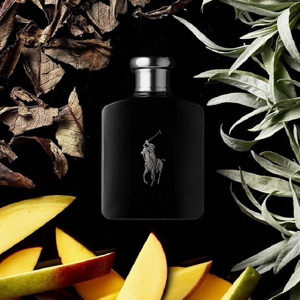 RALPH LAUREN Polo Black EDT