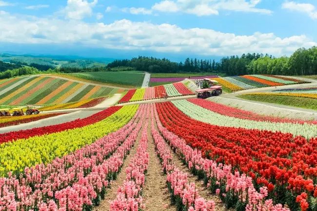 สวนชิกิไซโนะโอกะ