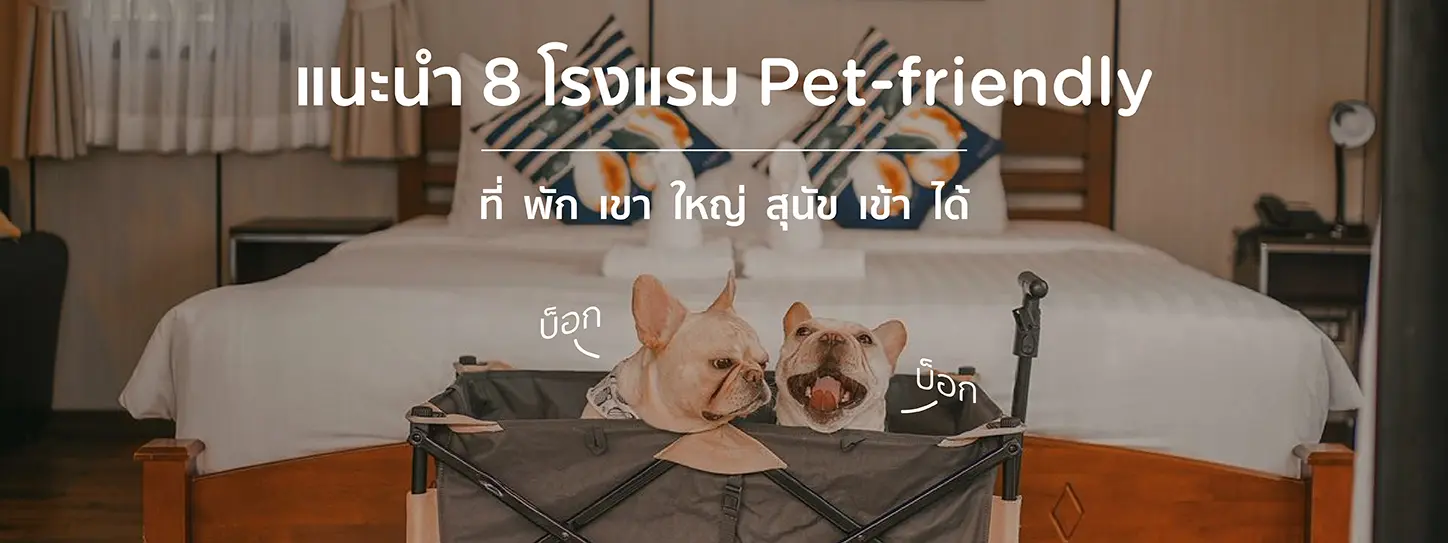 ที่พักสุนัขเข้าได้