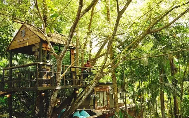 บ้านต้นไม้ คาเฟ่