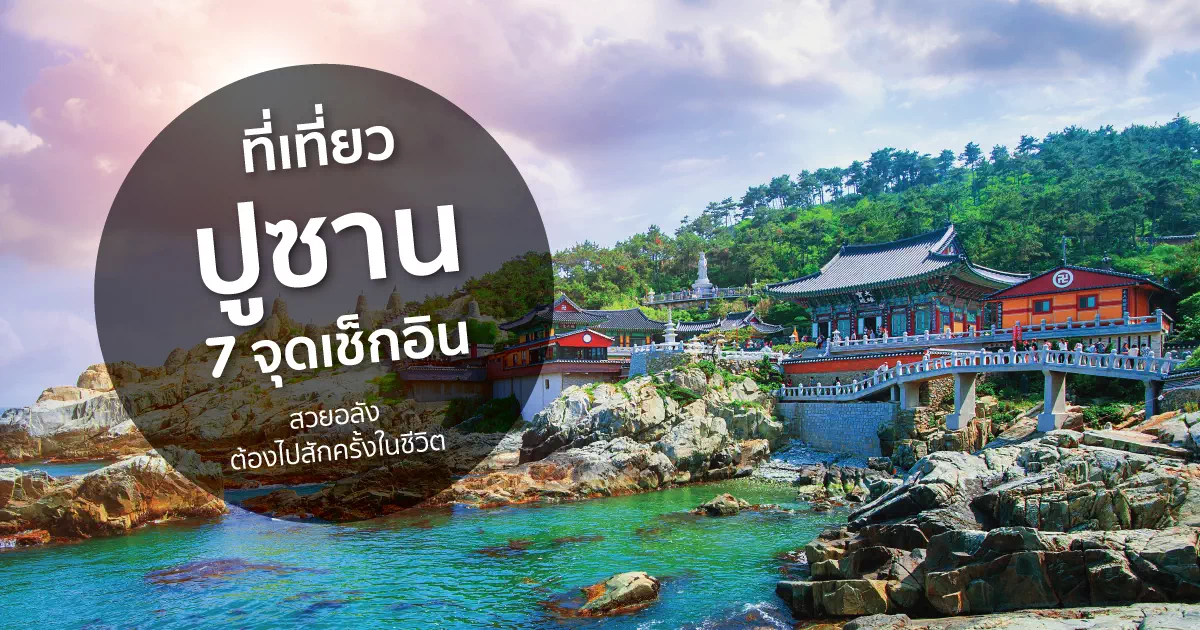 ที่เที่ยวปูซาน 7 จุดเช็กอินสวยอลัง ต้องไปสักครั้งในชีวิต ที่เที่ยวปูซาน 7 จุดเช็กอินสวยอลัง ต้องไปสักครั้งในชีวิต