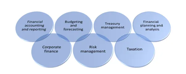 Financial Manager