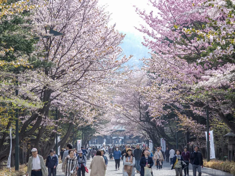 สวนสาธารณะมะรุยามะ (Maruyama Park)