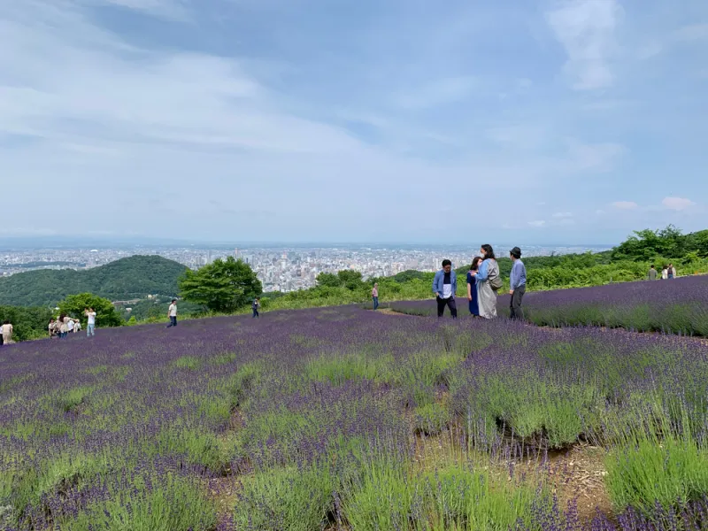 ทุ่งดอกลาเวนเดอร์ สวนโฮโรมิโตเกะ (Horomitoge Lavender Garden)