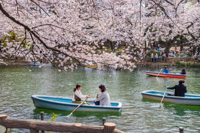 สวนอิโนะคาชิระ (Inokashira Park)