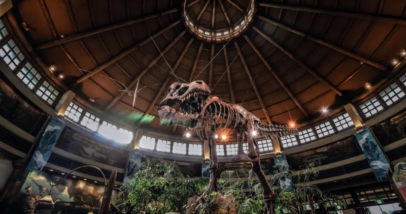 โซน Jurassic Park ใน Universal Studios Japan Osaka