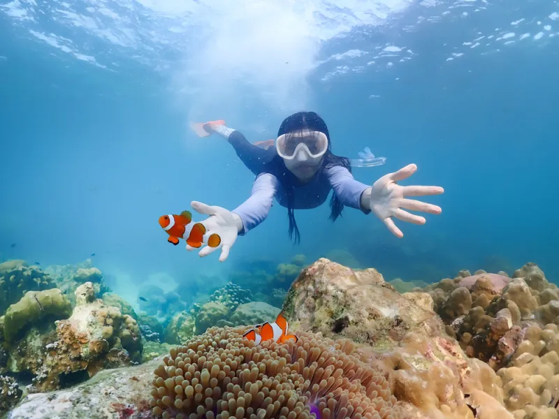 snorkeling