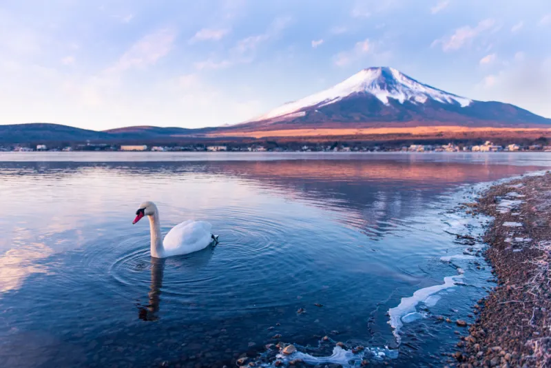 ทะเลสาบคาวากูจิโกะ (Lake Kawaguchi)