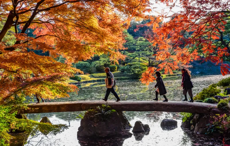 สวนริคุกิเอน (Rikugien Gardens)