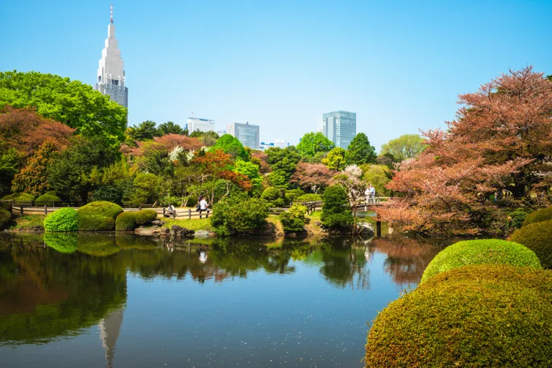 อุทยานแห่งชาติชินจูกุเกียวเอน (Shinjuku Gyoen National Garden)