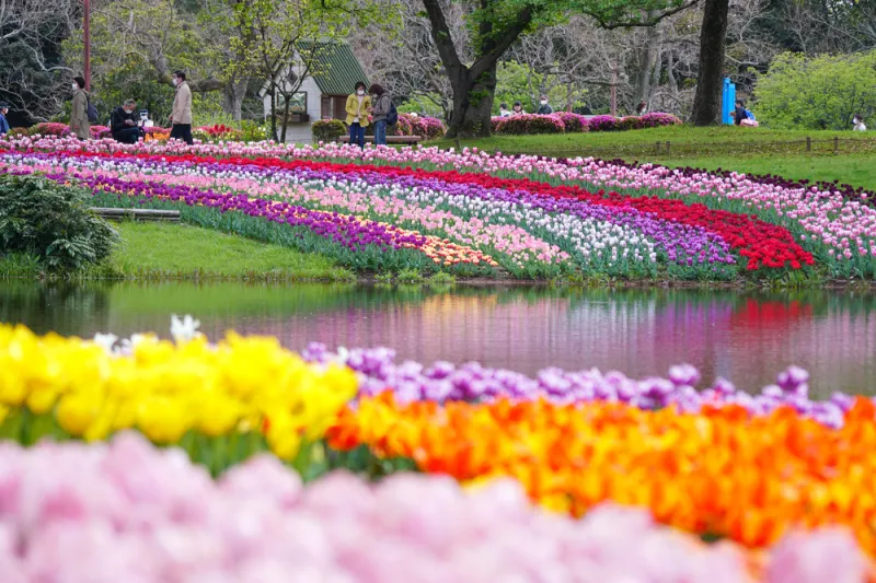 สวนโชวะ คิเนน (Showa Kinen Park)