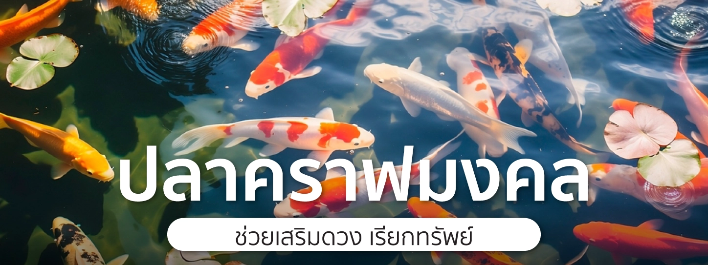 ปลาคราฟ มงคล