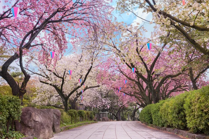Asukayama Park
