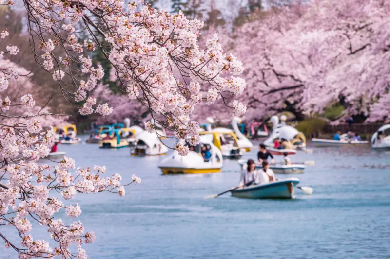 Scenery of Inokashira Park
