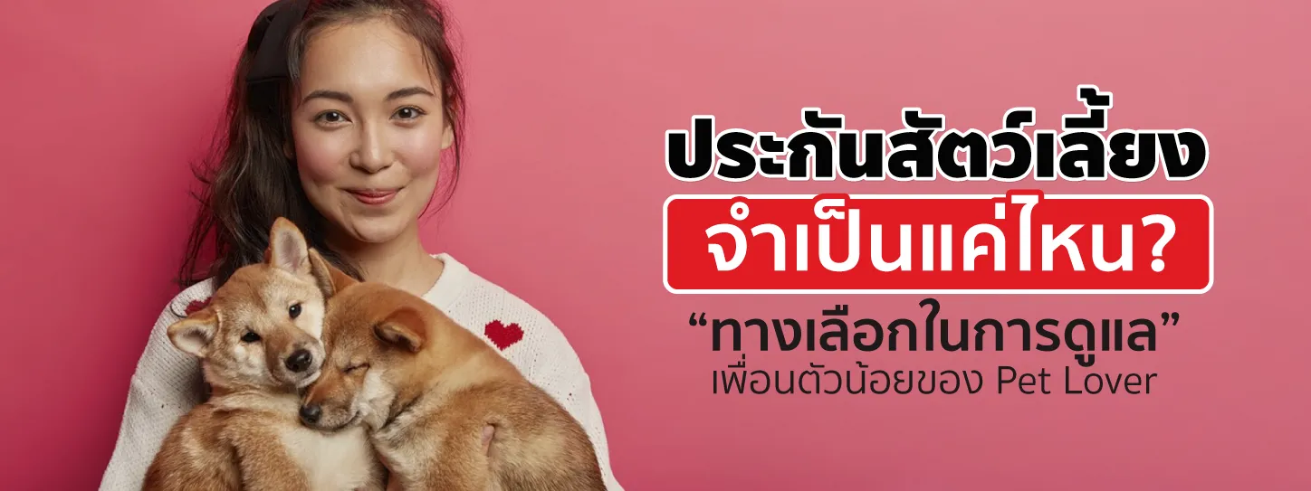 ประกันสัตว์เจ้าไหนดี 2568 ที่ใช่สำหรับเหล่าคนรักสัตว์