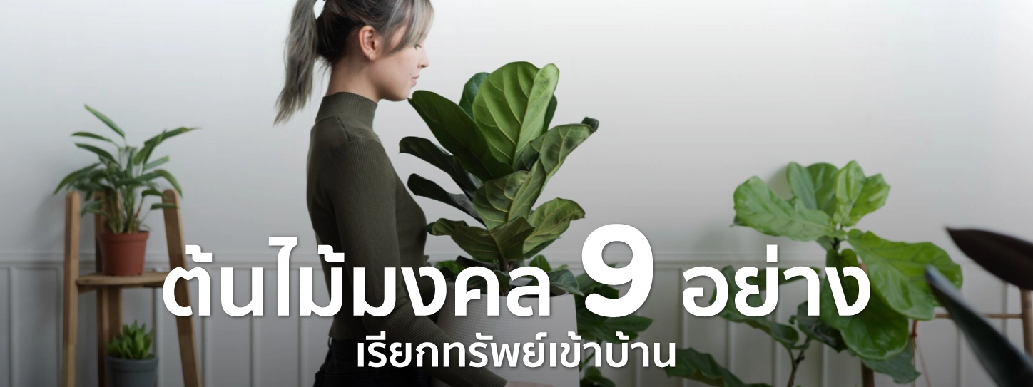 ต้นไม้ มงคล