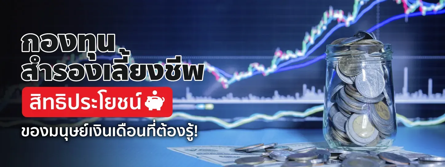 กองทุนสำรองเลี้ยงชีพ | สิทธิประโยชน์ของมนุษย์เงินเดือนที่ต้องรู้!