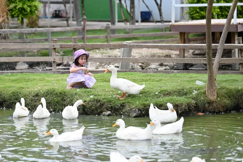 คาเฟ่สัตว์