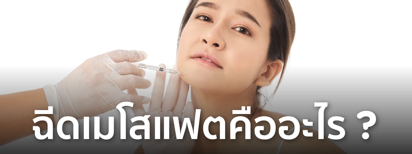 เมโสแฟต คือ
