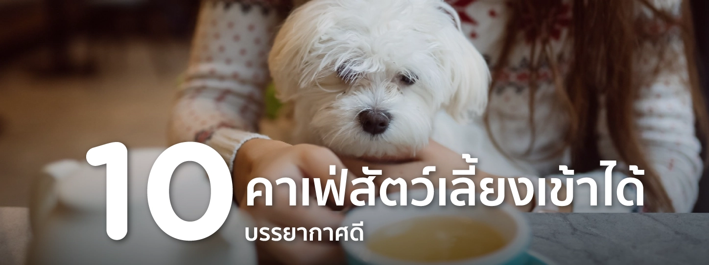 คาเฟ่สัตว์